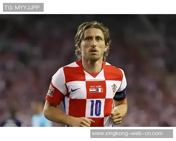 《绿茵传奇 足球巨星的奋斗与荣耀》