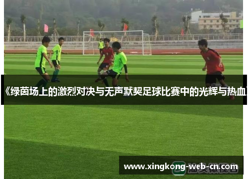 《绿茵场上的激烈对决与无声默契足球比赛中的光辉与热血》